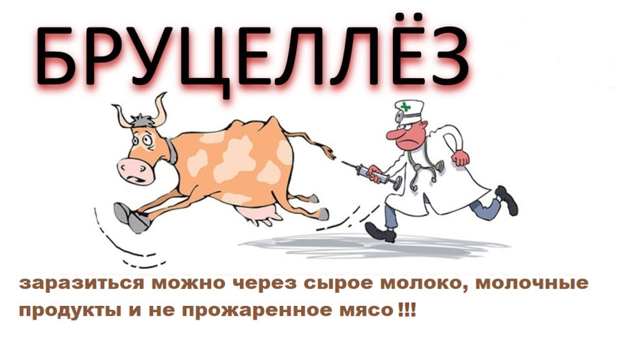 ВНИМАНИЕ! БРУЦЕЛЛЕЗ! ВНИМАНИЕ! БРУЦЕЛЛЕЗ!.